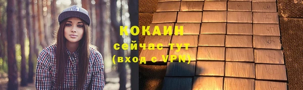 ГАЛЛЮЦИНОГЕННЫЕ ГРИБЫ Козловка