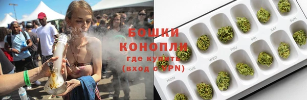ГАЛЛЮЦИНОГЕННЫЕ ГРИБЫ Козловка