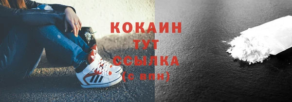 ГАЛЛЮЦИНОГЕННЫЕ ГРИБЫ Козловка