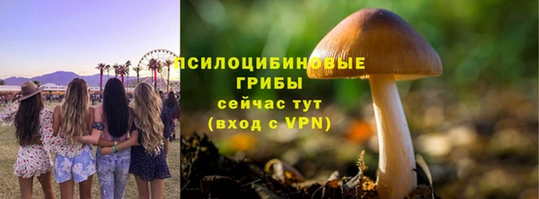 герыч Кинешма