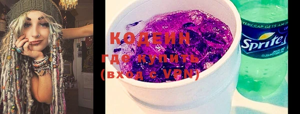ГАЛЛЮЦИНОГЕННЫЕ ГРИБЫ Козловка
