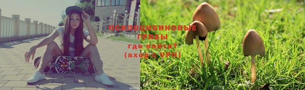 спайс Киренск